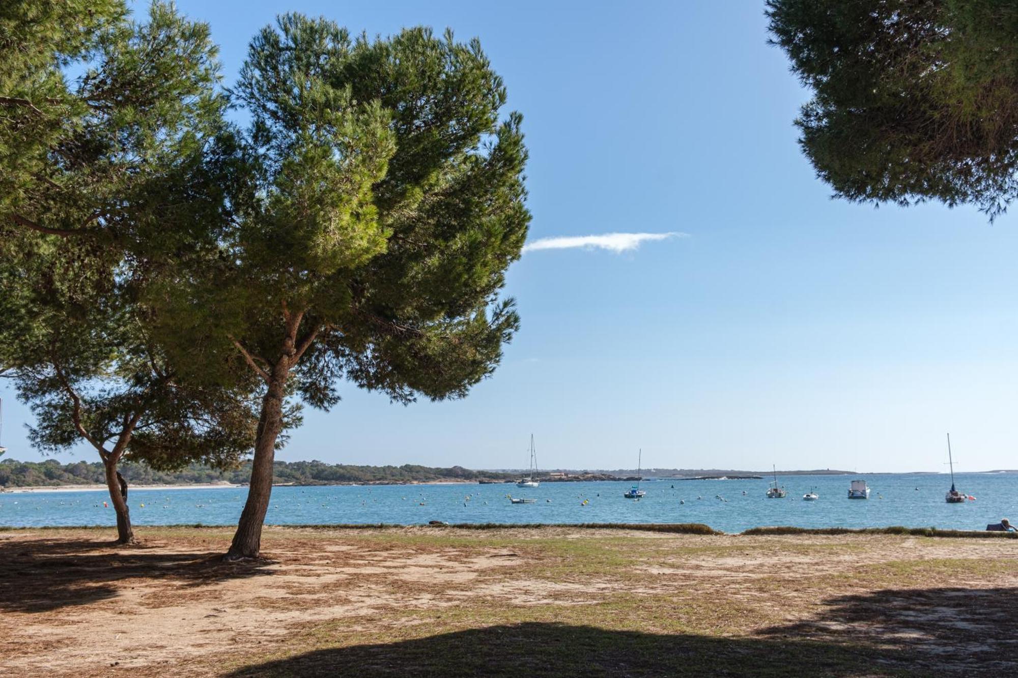 Alma Libre Beach Apartment Colonia de Sant Jordi Dış mekan fotoğraf