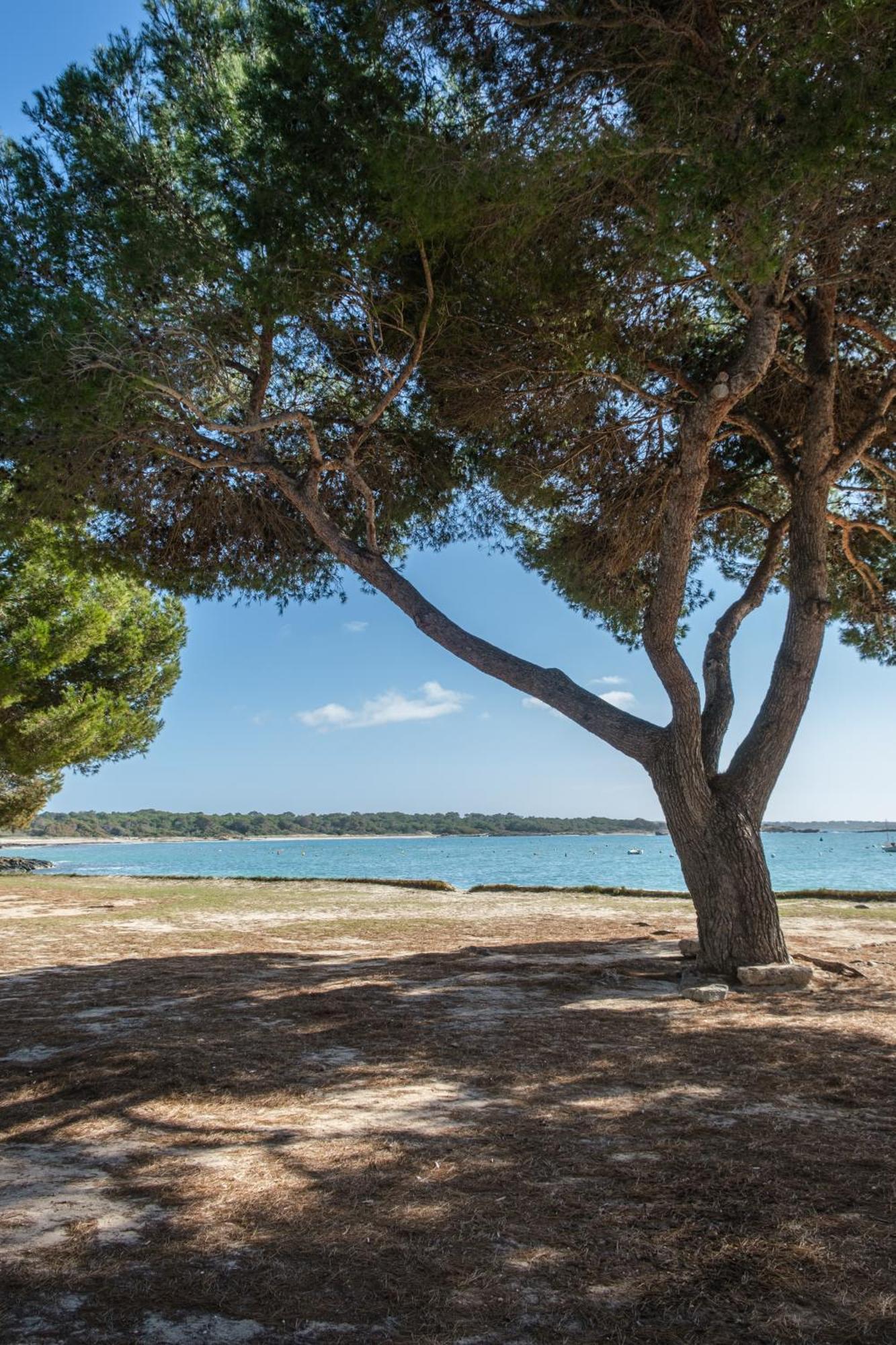 Alma Libre Beach Apartment Colonia de Sant Jordi Dış mekan fotoğraf